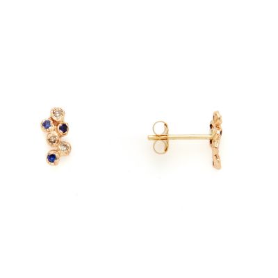 12 Diamond & Sapphire Cluster Earrings