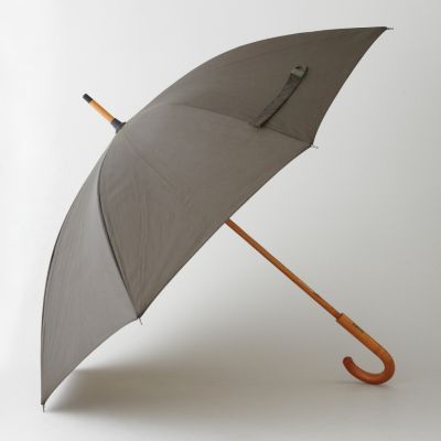 Umbrella