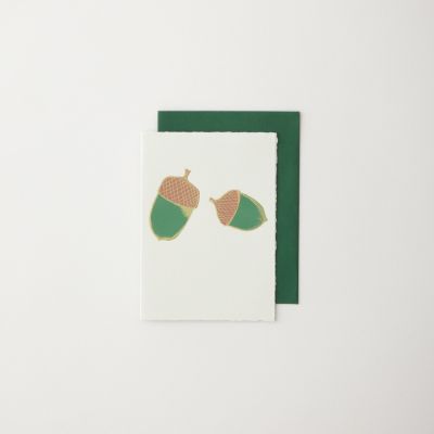 Acorn
