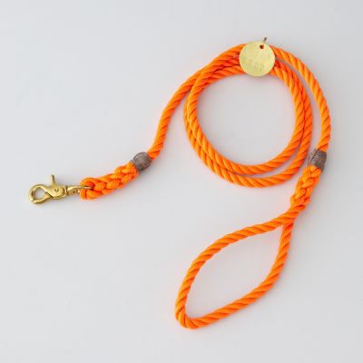 RESCUE STANDARD LEASH BRASS - MEDIUM