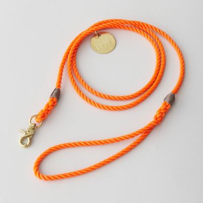 RESCUE STANDARD LEASH BRASS - SMALL