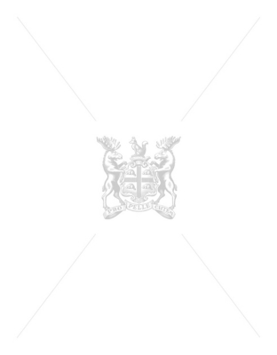 MAC EXTRA DIMENSION SKINFINISH