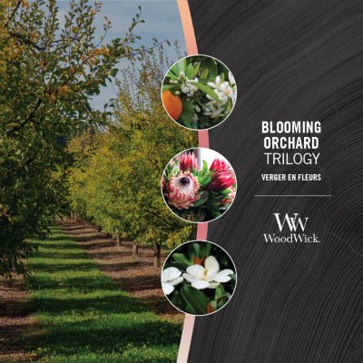 Blooming Orchard Medium Hourglass Trilogy Candle WoodWick, White;pink, 9.9cm X 9.9cm X 11.4cm , Fruity & Citrus