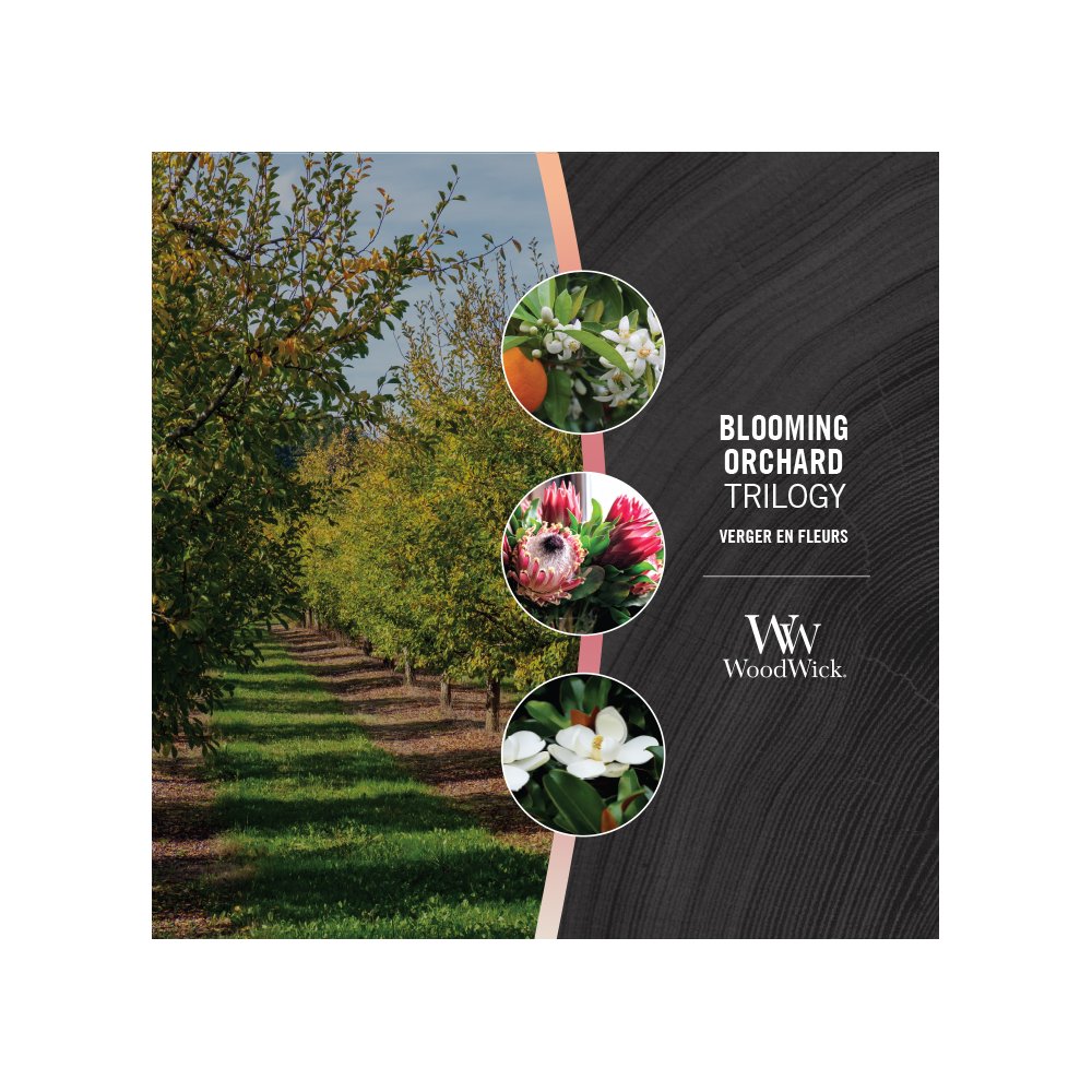 Blooming Orchard Ellipse Trilogy Candle WoodWick, 9.2cm X 19.1cm X 12.1cm , Fruity & Citrus