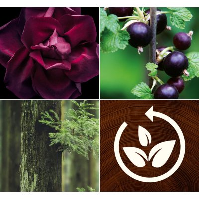 Black Currant & Rose Renew Medium Candle With Pluswick® WoodWick, Natural, 8cm X 8cm X 9.6cm , Floral