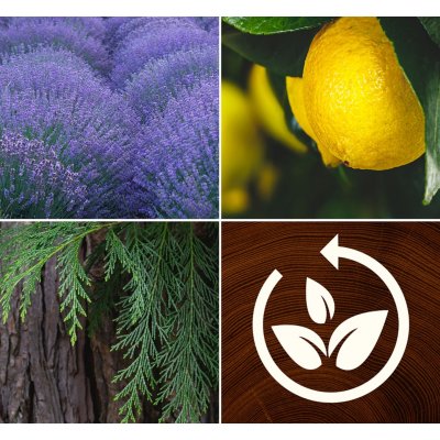 Lavender & Cypress Renew Medium Candle With Pluswick® WoodWick, Natural, 8cm X 8cm X 9.6cm , Fresh