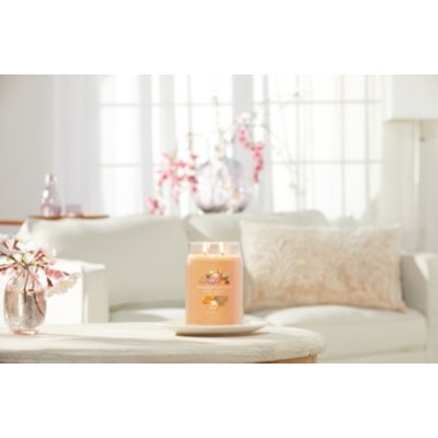 Mango Ice Cream Signature Large Jar Candle Yankee Candle, Orange, 9.3cm X 15.7cm , Sweet & Spicy