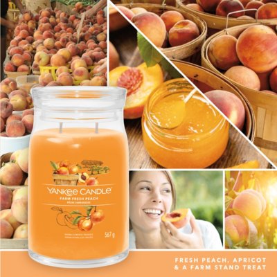 Farm Fresh Peach Signature Large Jar Candle Yankee Candle, Orange, 9.3cm X 15.7cm , Fruity