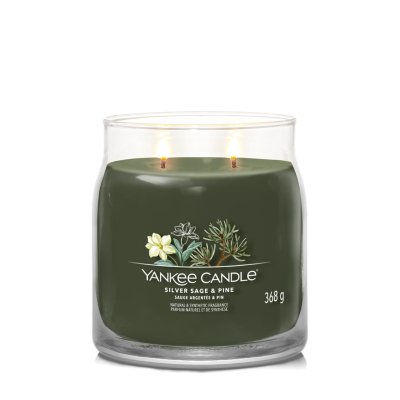 Silver Sage & Pine Yankee Candle, Green, 9.3cm X 11.4cm , Woody