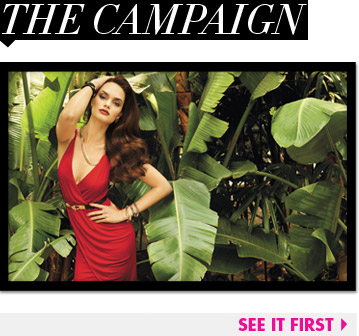 The Campaign