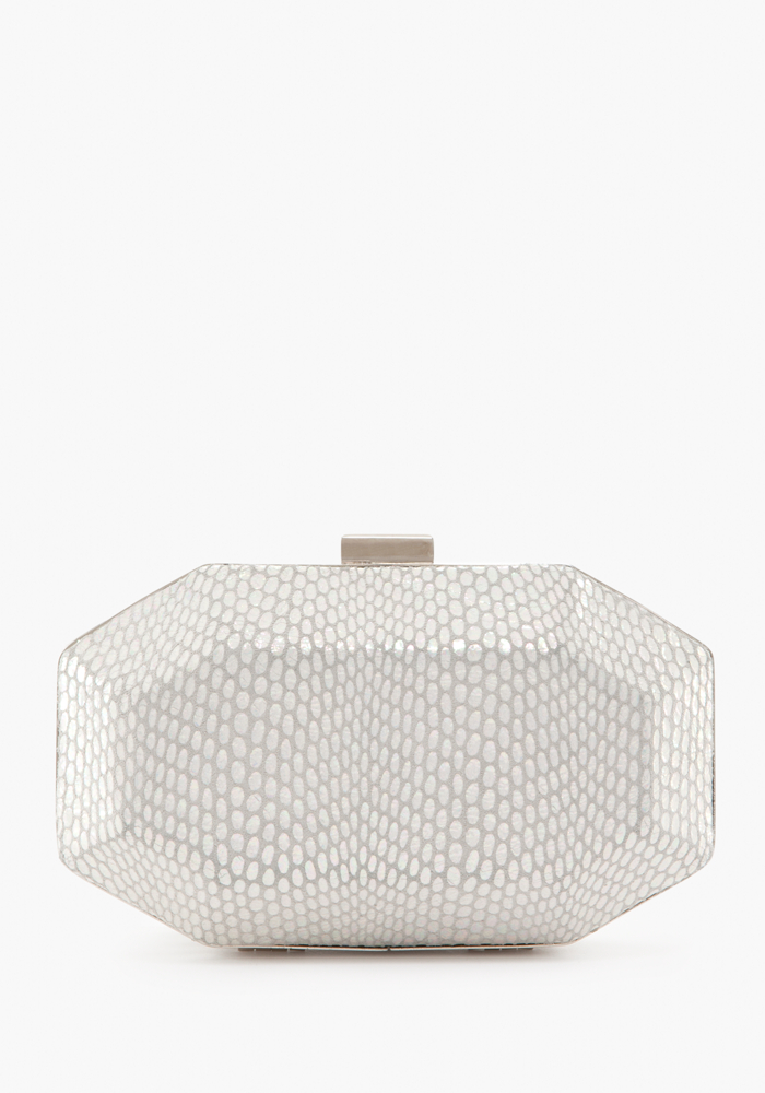 Iridescent Exotic Minaudiere