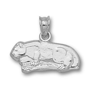 Penn State Charm