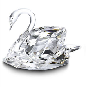Swan, medium