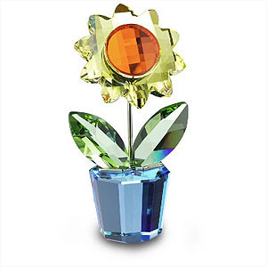 Sunflower, small