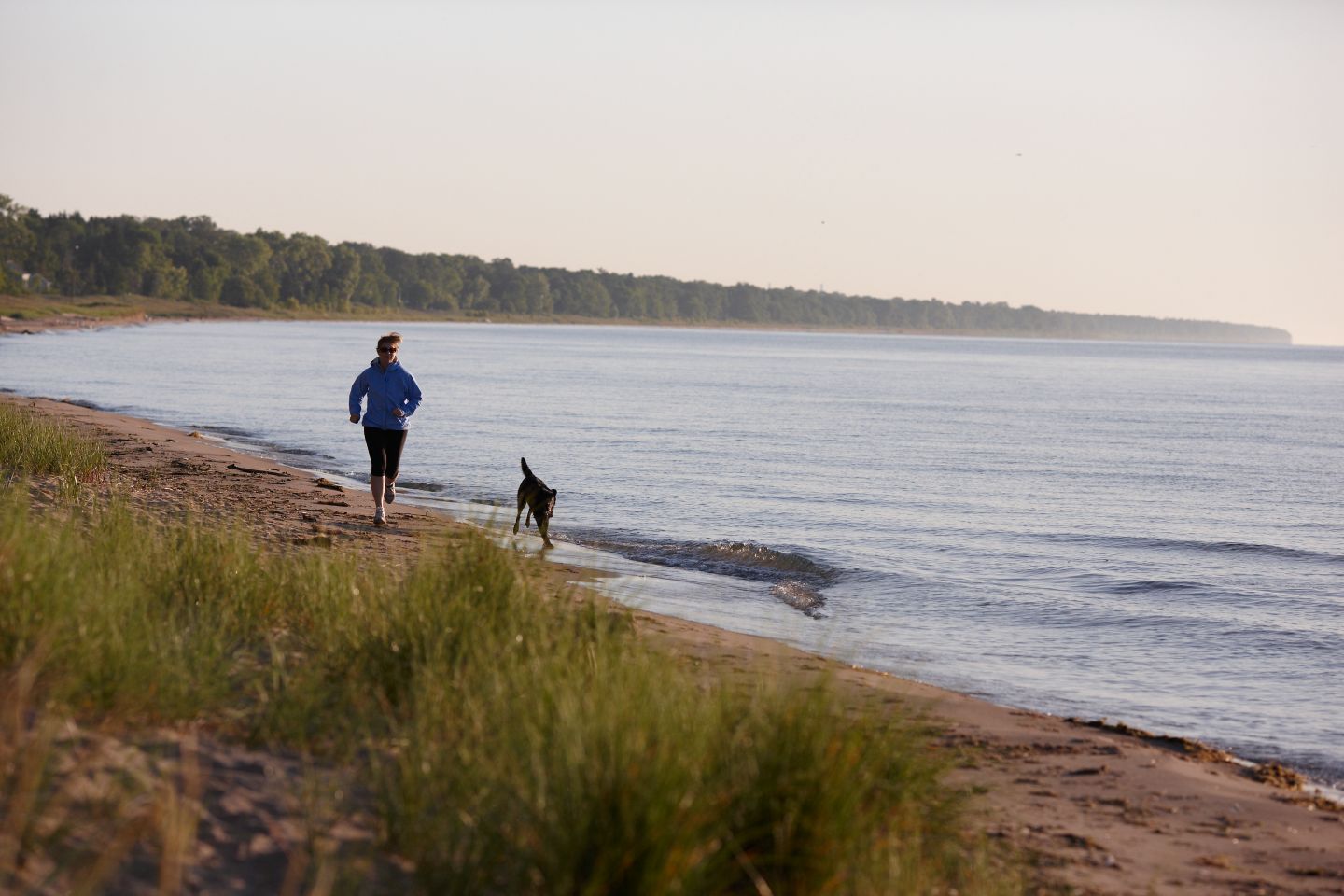 在密歇根湖海滩上和狗一起奔跑的女士