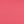 Coral Punch