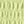 Pale Lime