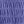 Aster Purple