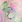 Shell Pink