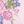 Shell Pink Multi