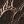 Dark Brown Patent