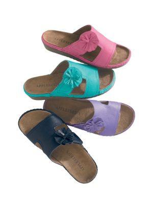 Didi Slides by Appleseed's