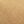Gold Suede