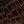 Brown Croco