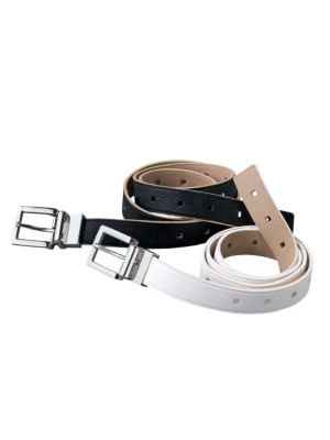 Reversible Belt