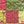 Pink Multi