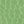 Pale Lime