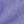 Aster Purple