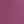 Wild Orchid
