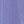Aster Purple