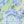 Limelight Multi
