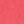 Bright Coral