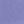 Aster Purple