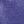 Aster Purple