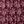 Black Cherry