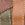 Brown Multi