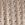 Light Taupe Patent