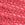 Bright Coral