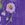 Purple Floral