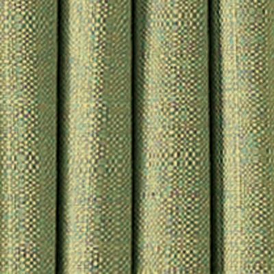 Celery