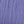 Aster Purple