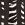Zebra Pattern