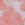 Butterfly Pink