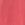 Deep Coral