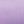 Fresh Lilac
