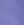 Aster Purple